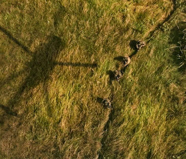 The Last Runway (2018)