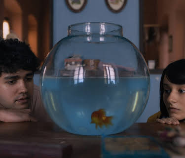 What Are the Odds? (2020)