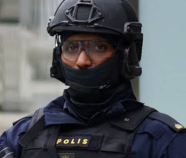 Sweden Dying to Be Multicultural (2017)