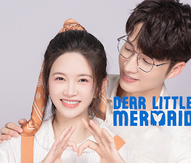 Dear Little Mermaid