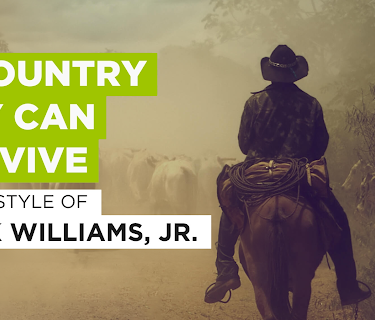 A Country Boy Can Survive (2005)