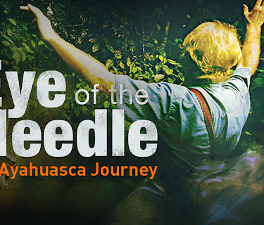 Eye of the Needle: An Ayahuasca Journey (2013)