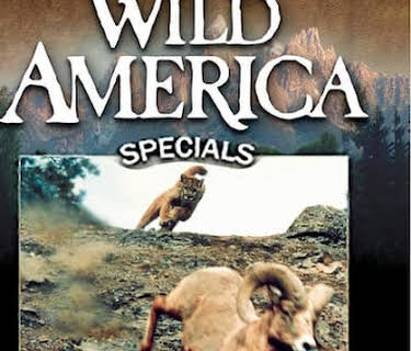 Wild America Specials: Great Escapes (1994)