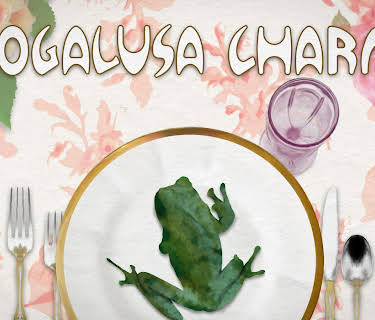 Bogalusa Charm (2017)