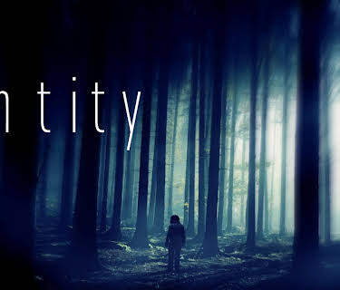 Entity (2013)