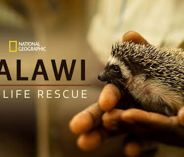 Malawi Wildlife Rescue