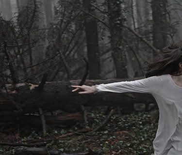 Neverlake (2014)