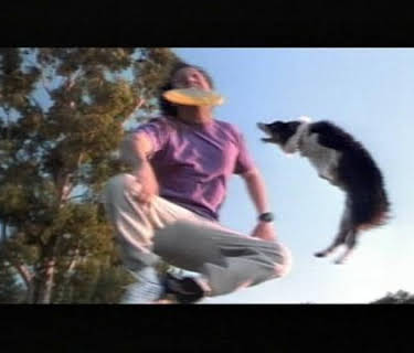 The Animal (2001)