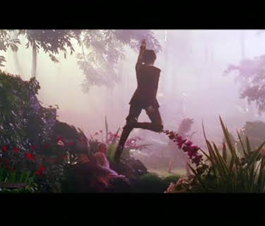 Finding Neverland (2004)