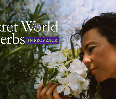 The Secret World of Herbs in Provence (2025)