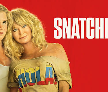 Snatched (2017)