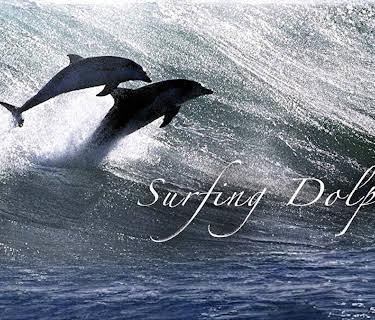 Surfing Dolphins (2010)