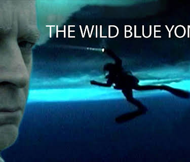 The Wild Blue Yonder (2007)
