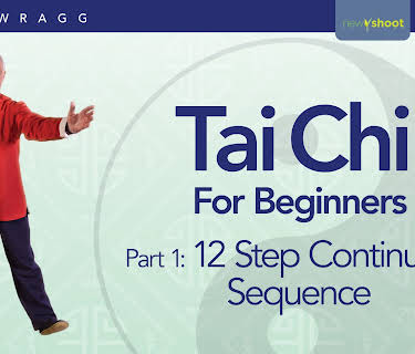 Tai Chi For Beginners with Gary Wragg - Part 1: 12 Step Form Continuous Sequence (2022)