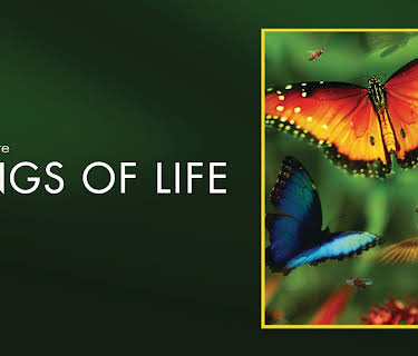 Disneynature Wings Of Life (2013)
