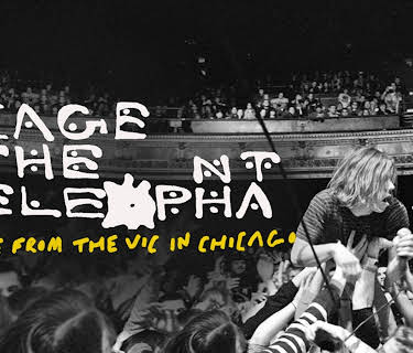 Cage the Elephant: Live from the Vic in Chicago (Live Performance) (2012)