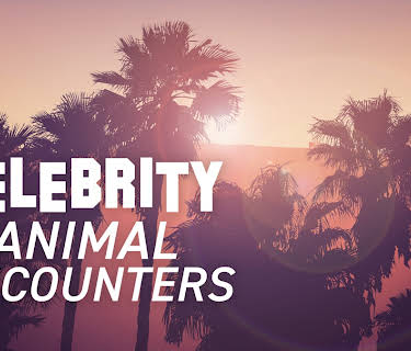 Celebrity Animal Encounters