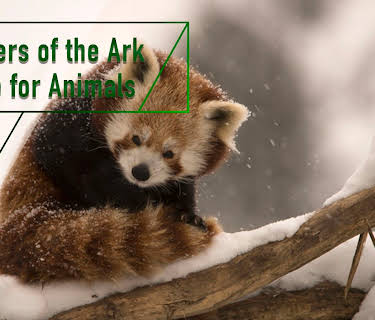 Keepers of the Ark - A Life for Animals (2013)