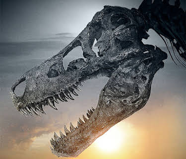 Dinosaur 13 (2014)