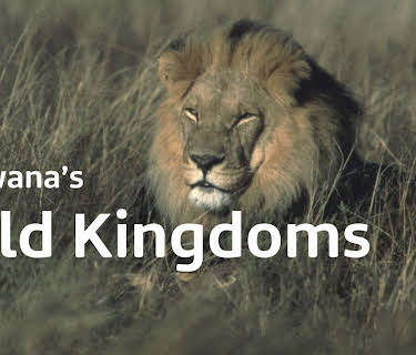 Botswana's Wild Kingdoms