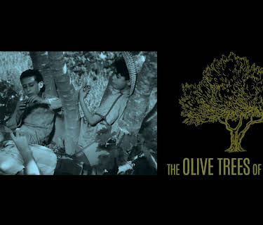 The Olive Trees of Justice (1967)