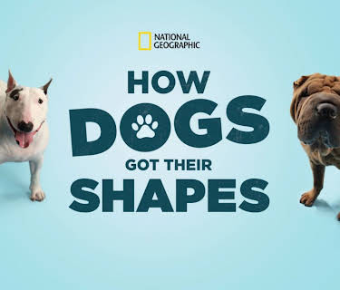How Dogs Got Their Shapes (2015)