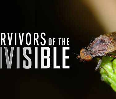 Survivors of the Invisible (2015)