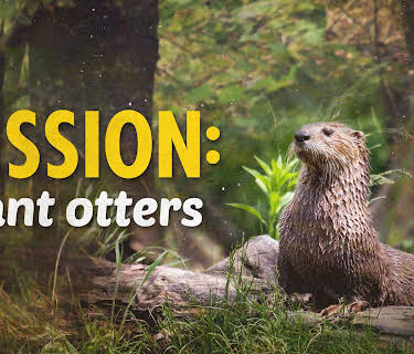 Mission: Giant Otters (2004)