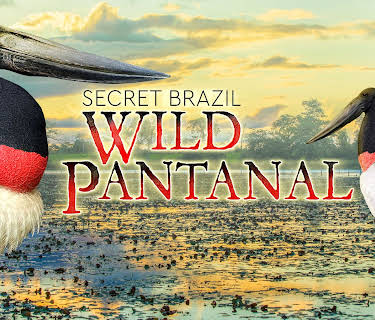 Secret Brazil Wild Pantanal