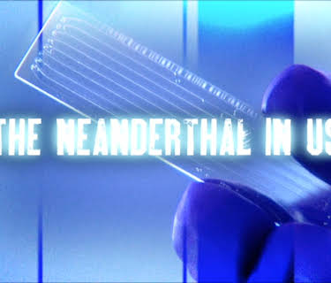 The Neanderthal in Us (2010)