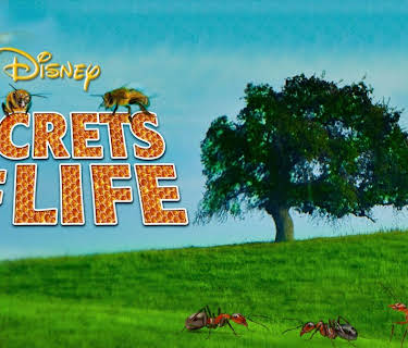 Secrets of Life (1956)