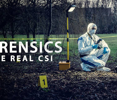 Forensics: The Real CSI S1