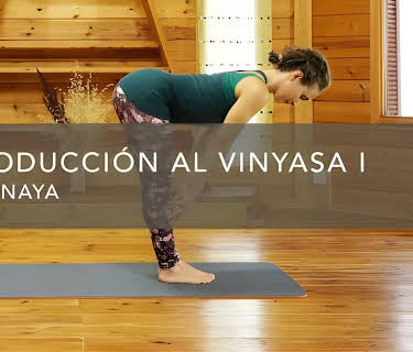 Introducción al Vinyasa I (2016)