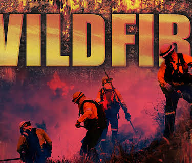 Wild Fire (2010)
