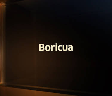 Chicago Boricua (2005)