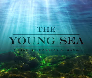 The Young Sea (2018)