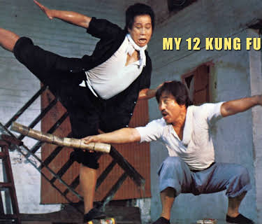 My Kung Fu 12 Kicks (1978)