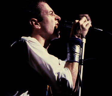 Joe Strummer: The Future Is Unwritten (2007)