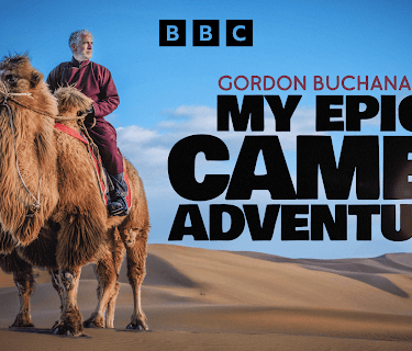 Gordon Buchanan: My Epic Camel Adventure (2024)