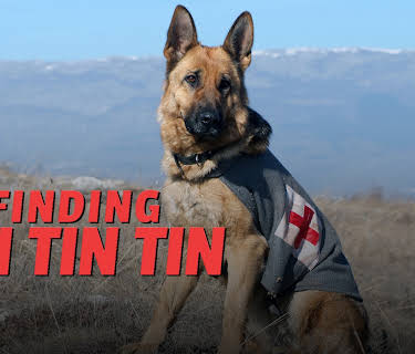Finding Rin Tin Tin (2007)