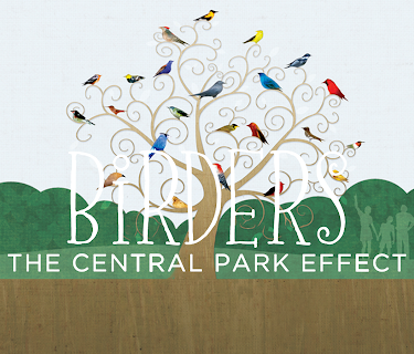 Birders: The Central Park Effect (2012)