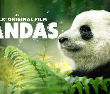Pandas (2018)