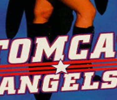Tomcat Angels (1991)