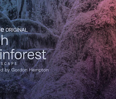 Hoh Rainforest (2020)