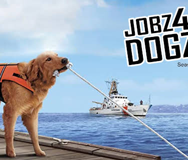 Jobz 4 Dogz