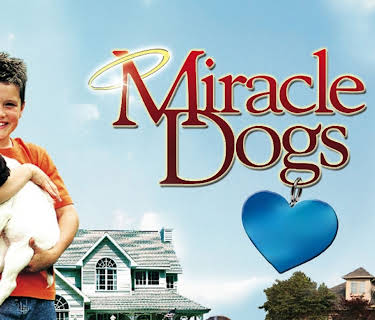 Miracle Dogs (2003)