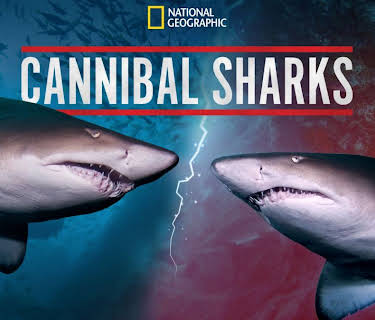 Cannibal Sharks
