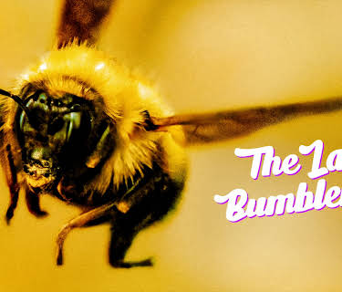 The Last Bumblebee (2023)