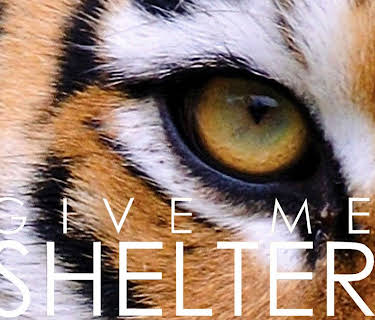 Give Me Shelter (2014)