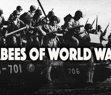 Seabees of World War II (2017)